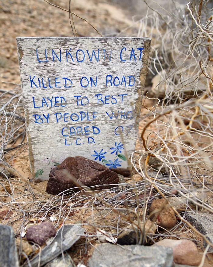 Wait, People Actually Make Pet Cemeteries This Touching? Check Out These 23 Heart-Melting Pet Memorials