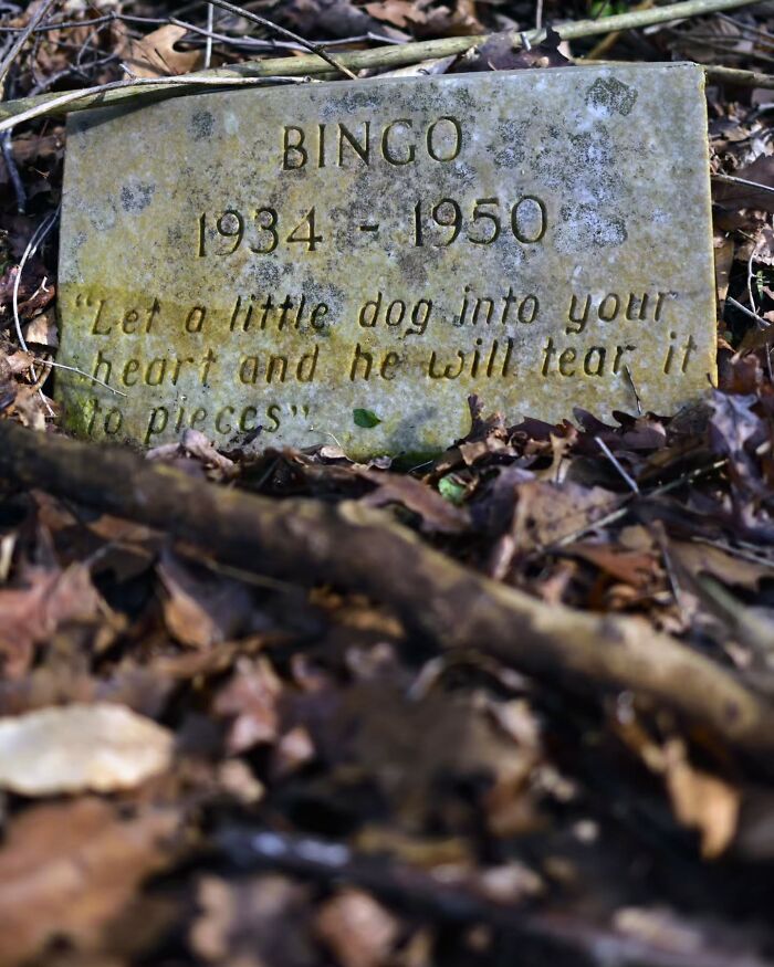 Wait, People Actually Make Pet Cemeteries This Touching? Check Out These 23 Heart-Melting Pet Memorials