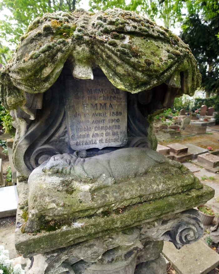 Wait, People Actually Make Pet Cemeteries This Touching? Check Out These 23 Heart-Melting Pet Memorials