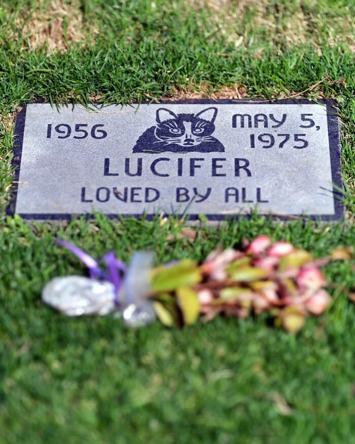 Wait, People Actually Make Pet Cemeteries This Touching? Check Out These 23 Heart-Melting Pet Memorials