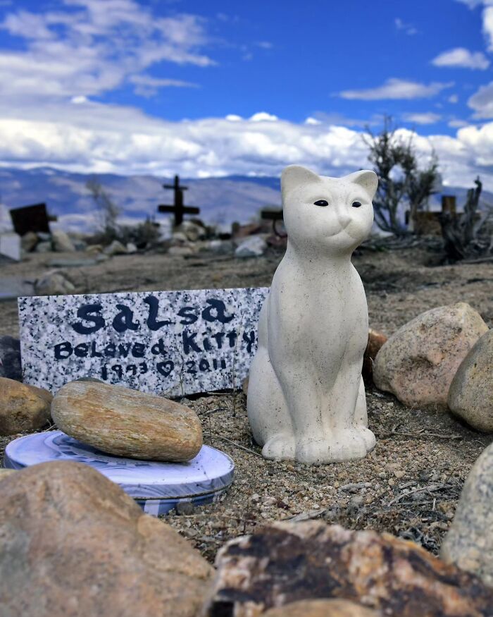 Wait, People Actually Make Pet Cemeteries This Touching? Check Out These 23 Heart-Melting Pet Memorials