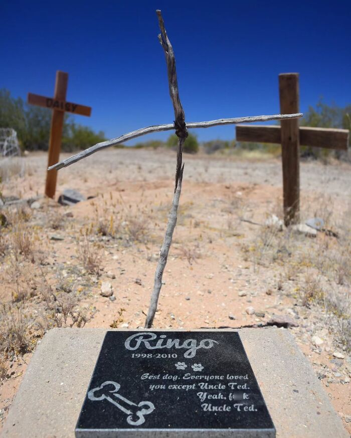 Wait, People Actually Make Pet Cemeteries This Touching? Check Out These 23 Heart-Melting Pet Memorials