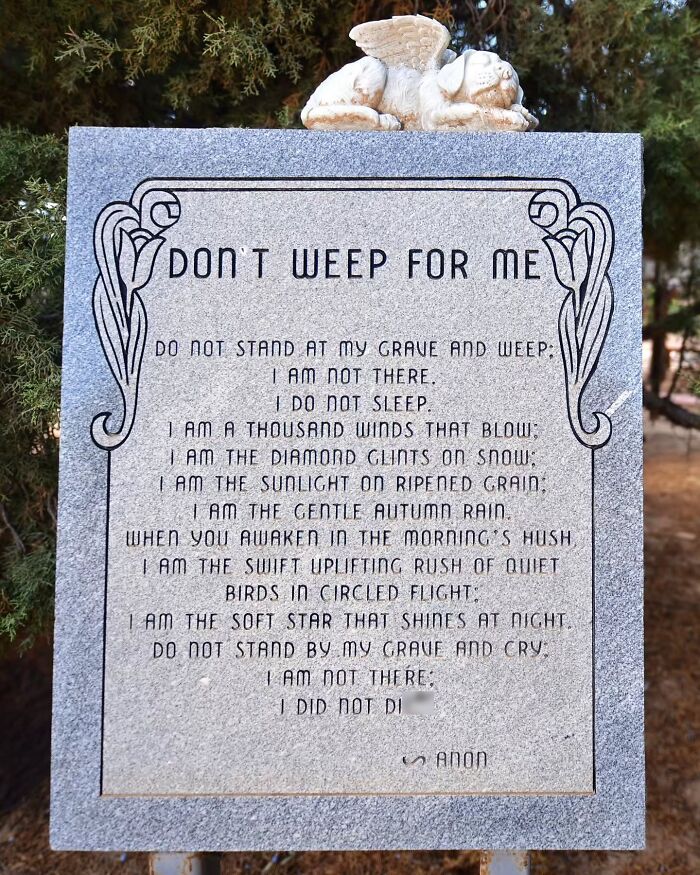 Wait, People Actually Make Pet Cemeteries This Touching? Check Out These 23 Heart-Melting Pet Memorials