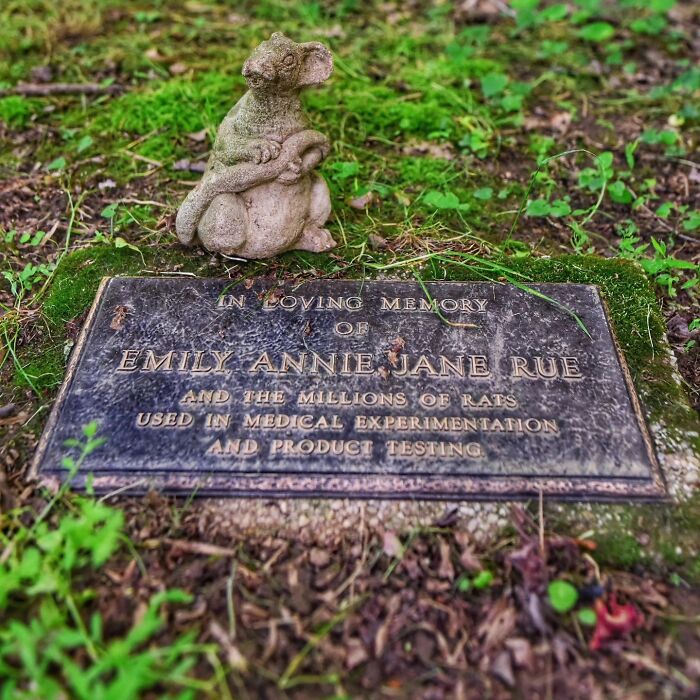 Wait, People Actually Make Pet Cemeteries This Touching? Check Out These 23 Heart-Melting Pet Memorials