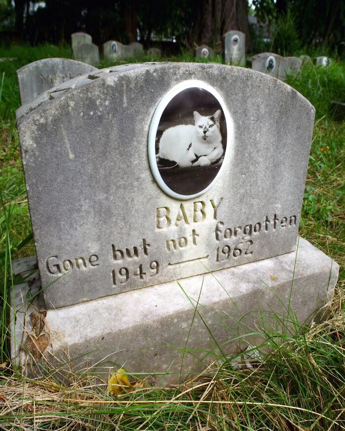 Wait, People Actually Make Pet Cemeteries This Touching? Check Out These 23 Heart-Melting Pet Memorials