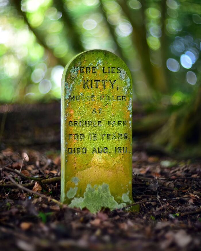 Wait, People Actually Make Pet Cemeteries This Touching? Check Out These 23 Heart-Melting Pet Memorials