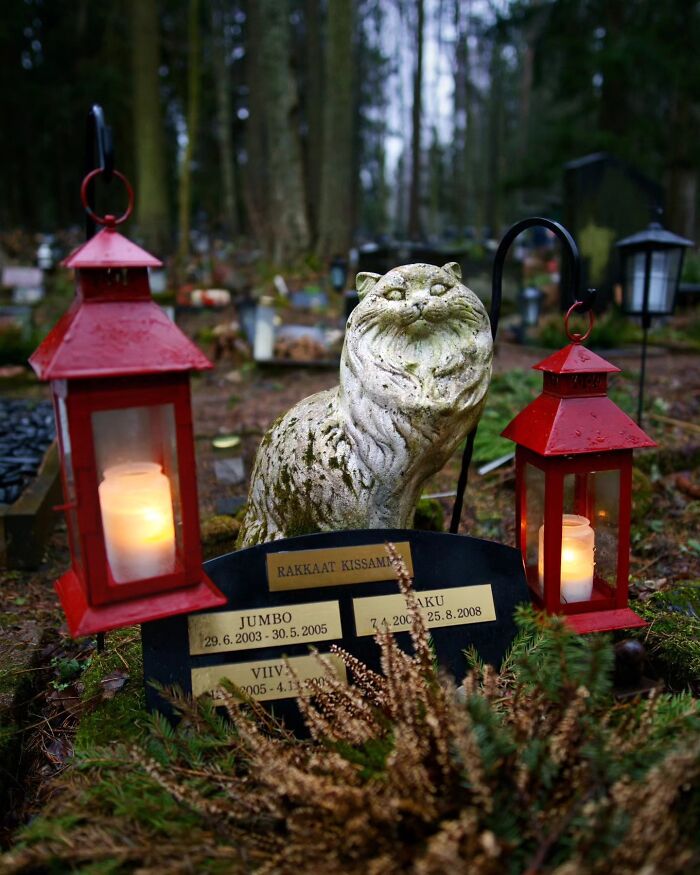 Wait, People Actually Make Pet Cemeteries This Touching? Check Out These 23 Heart-Melting Pet Memorials