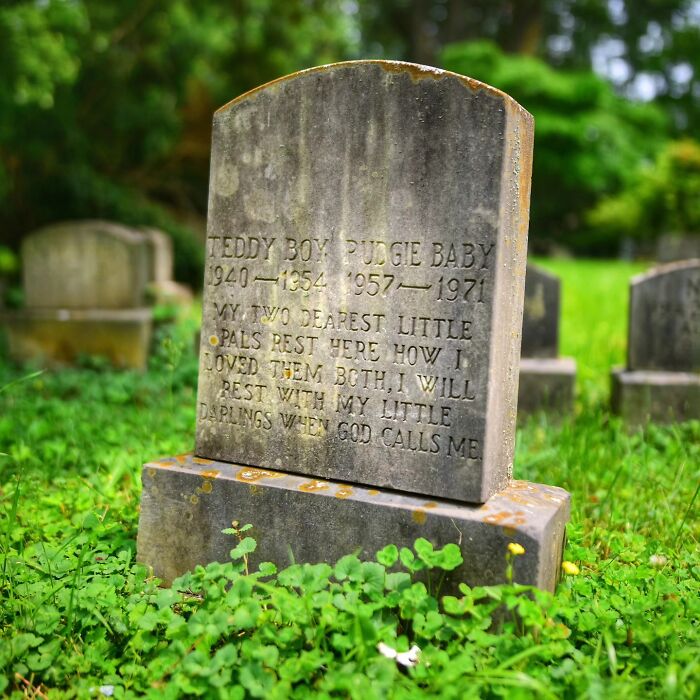 Wait, People Actually Make Pet Cemeteries This Touching? Check Out These 23 Heart-Melting Pet Memorials