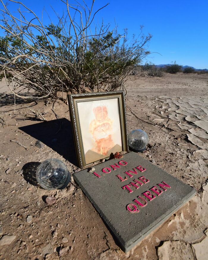 Wait, People Actually Make Pet Cemeteries This Touching? Check Out These 23 Heart-Melting Pet Memorials