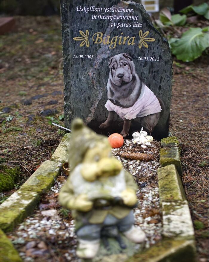 Wait, People Actually Make Pet Cemeteries This Touching? Check Out These 23 Heart-Melting Pet Memorials
