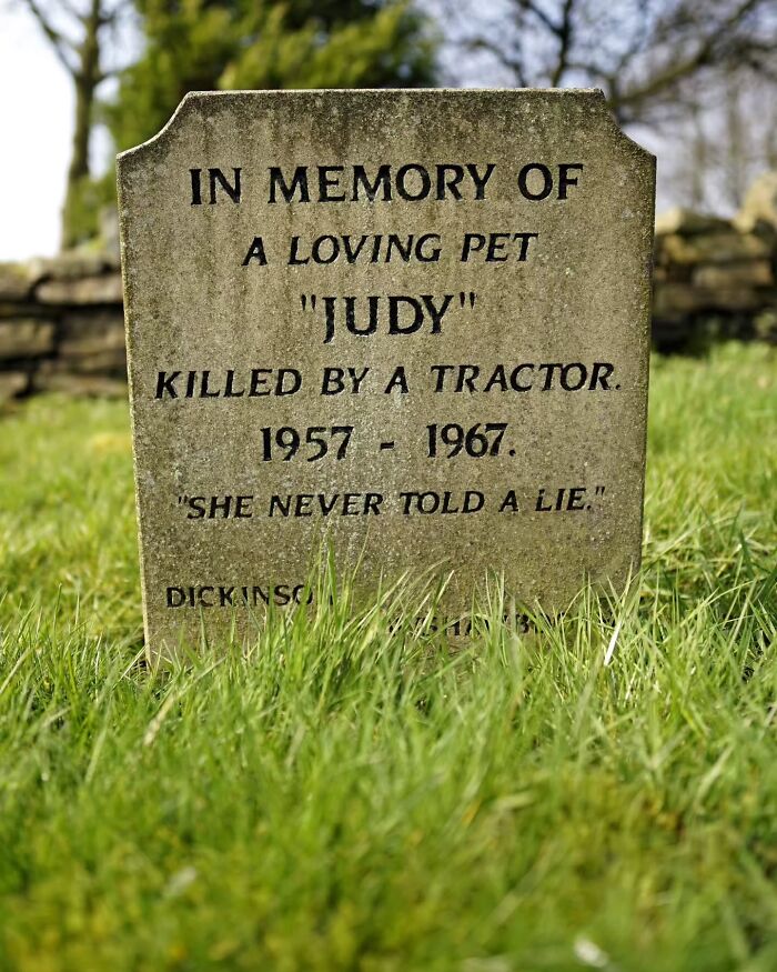 Wait, People Actually Make Pet Cemeteries This Touching? Check Out These 23 Heart-Melting Pet Memorials