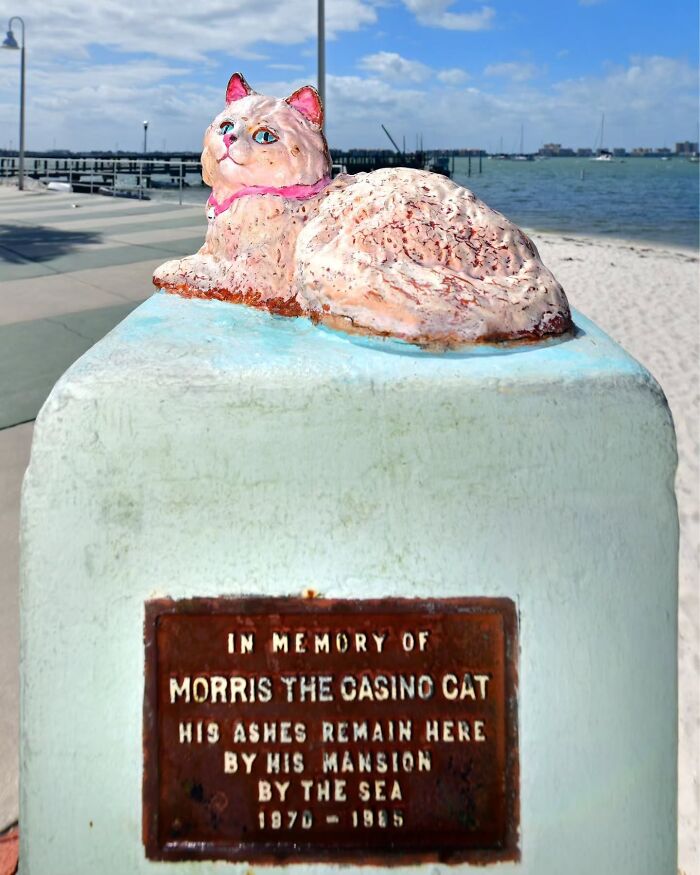 Wait, People Actually Make Pet Cemeteries This Touching? Check Out These 23 Heart-Melting Pet Memorials