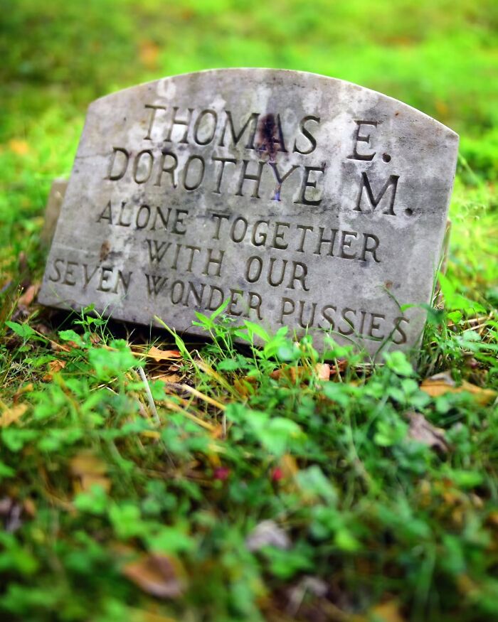 Wait, People Actually Make Pet Cemeteries This Touching? Check Out These 23 Heart-Melting Pet Memorials