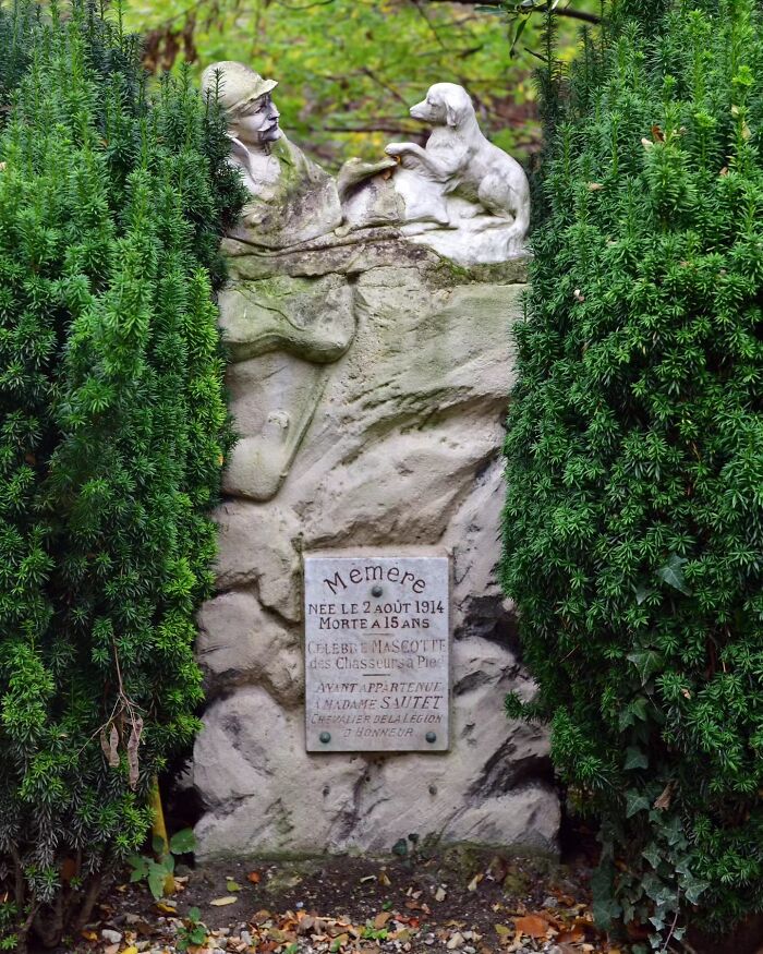 Wait, People Actually Make Pet Cemeteries This Touching? Check Out These 23 Heart-Melting Pet Memorials