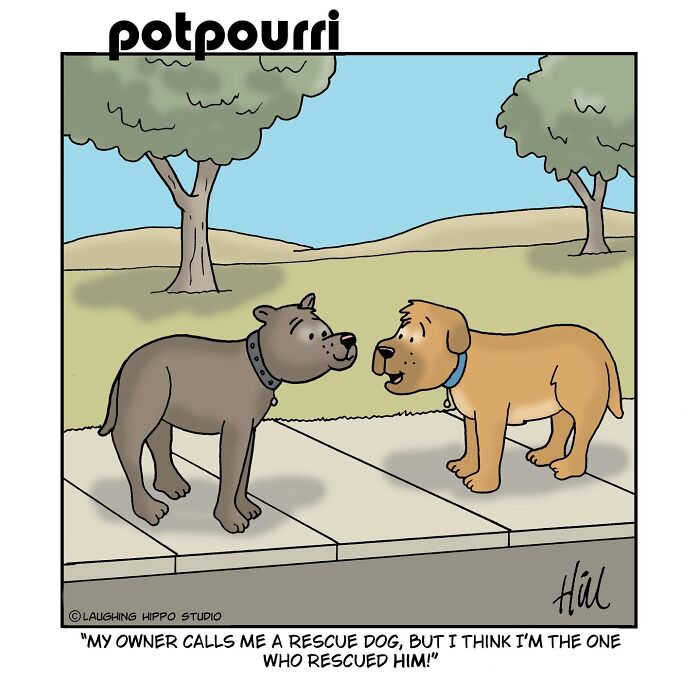 These Comics Totally Nail What It's Like to Live with a Wild, Lovable Dog