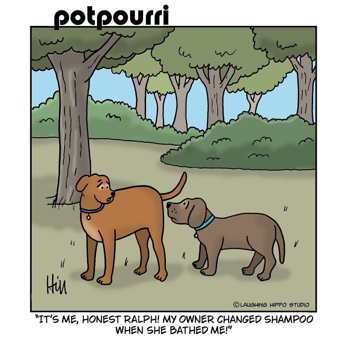 These Comics Totally Nail What It's Like to Live with a Wild, Lovable Dog