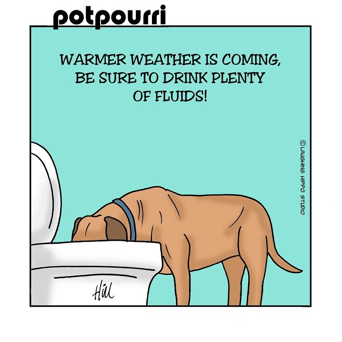 These Comics Totally Nail What It's Like to Live with a Wild, Lovable Dog
