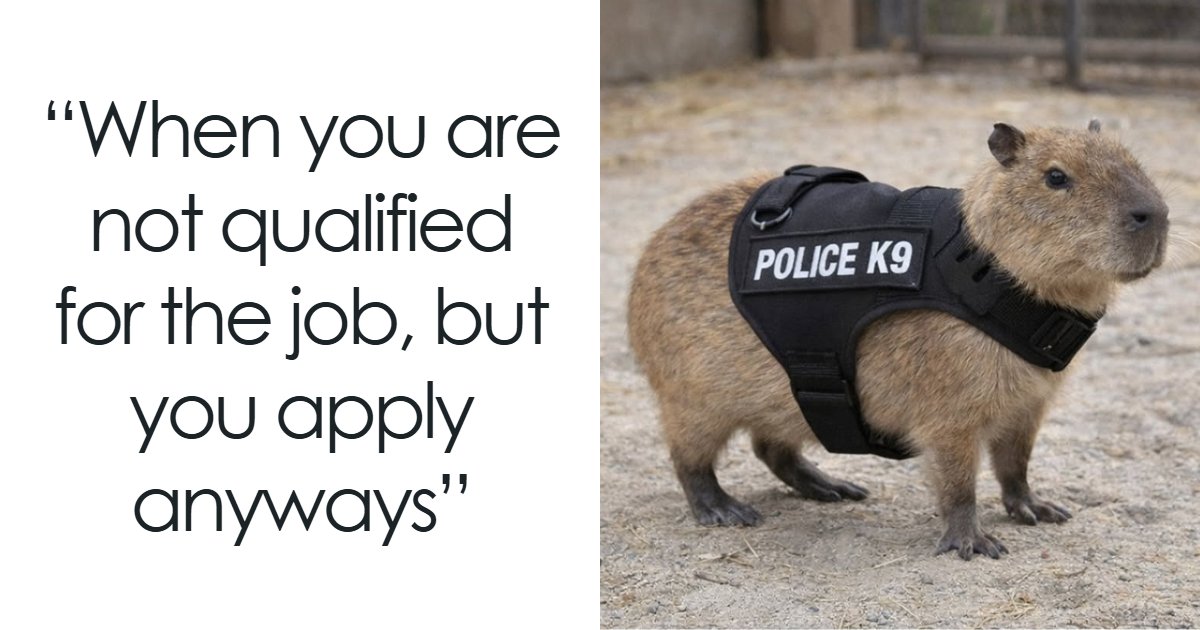 40 Hilarious Capybara Memes That Totally Get Internet Chill Vibes