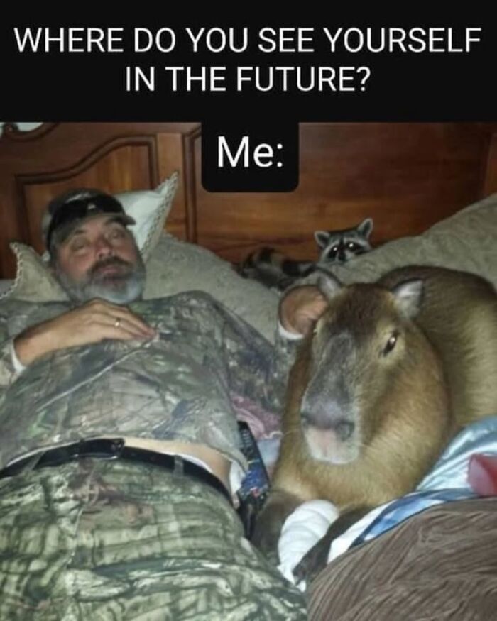 40 Hilarious Capybara Memes That Totally Get Internet Chill Vibes