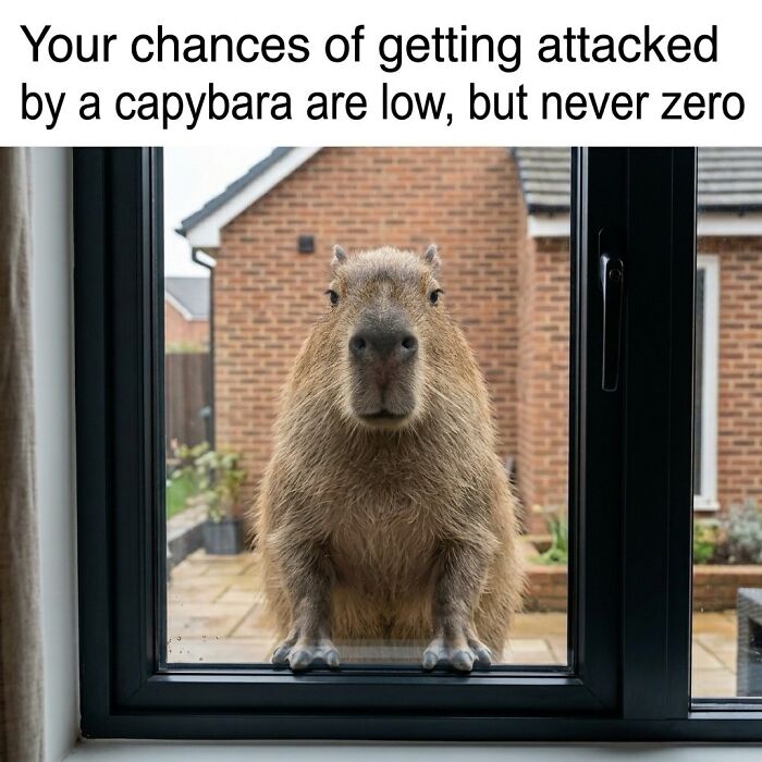 40 Hilarious Capybara Memes That Totally Get Internet Chill Vibes