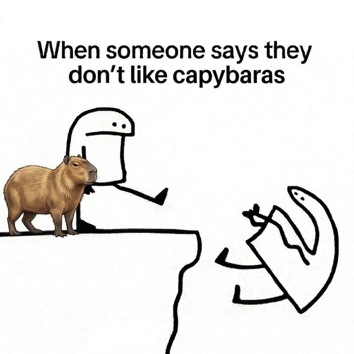 40 Hilarious Capybara Memes That Totally Get Internet Chill Vibes