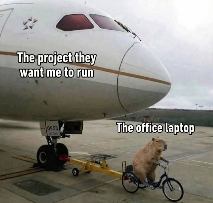 40 Hilarious Capybara Memes That Totally Get Internet Chill Vibes