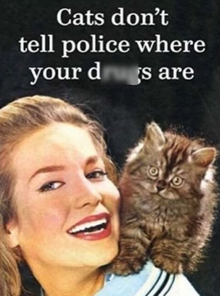 Wait, Vintage Ladies Would’ve Totally Slayed the Internet With Sarcasm! (30 Pics)