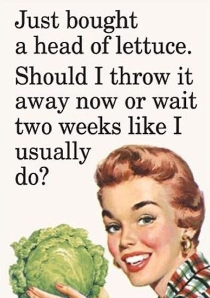 Wait, Vintage Ladies Would’ve Totally Slayed the Internet With Sarcasm! (30 Pics)