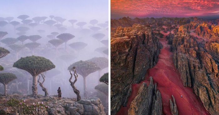 Wait, Are These Photos From Another Planet? Nope, Just Earth Being Extra!