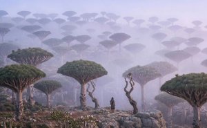 Wait, Are These Photos From Another Planet? Nope, Just Earth Being Extra!