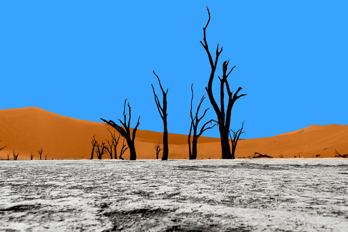 When Nature Decides To Paint – Deadvlei, Namibia