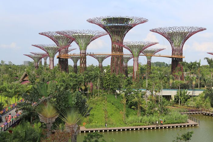 Supertree Forest In Singapore – The Future Is Now