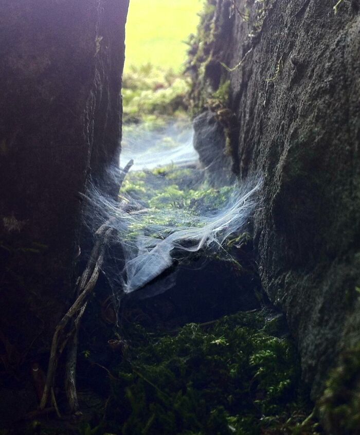 Forgotten Land Framed By A Wall Gap