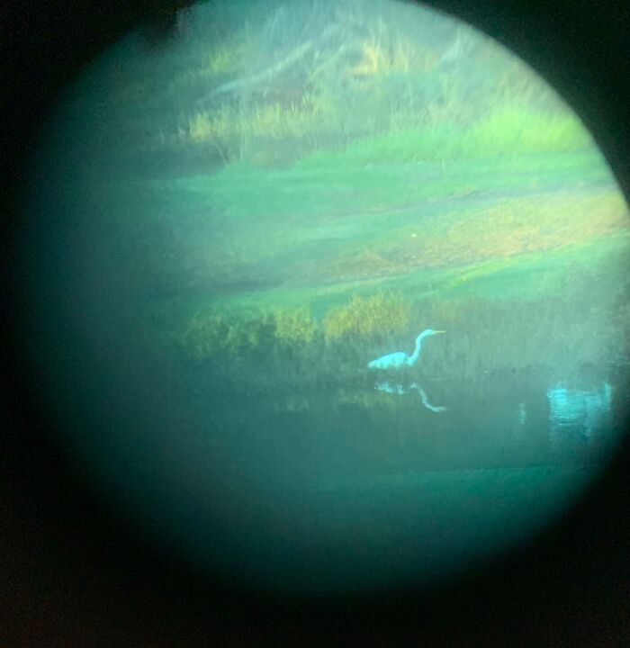 Bird Photo Through Binoculars That Looks Like A Planet