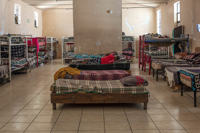 20 Photos Showing Migration Without A Single Human Face—Wait, How’s That Even Possible?
