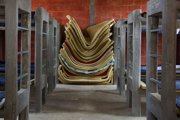 20 Photos Showing Migration Without A Single Human Face—Wait, How’s That Even Possible?