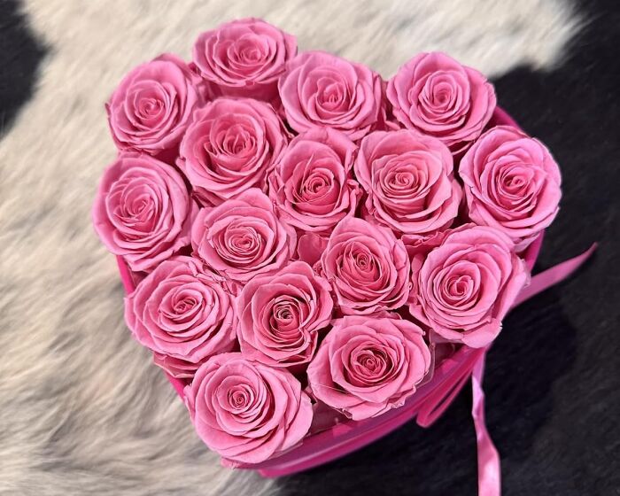 Forever Roses That Actually Last (Unlike That Bouquet From Last Tuesday)