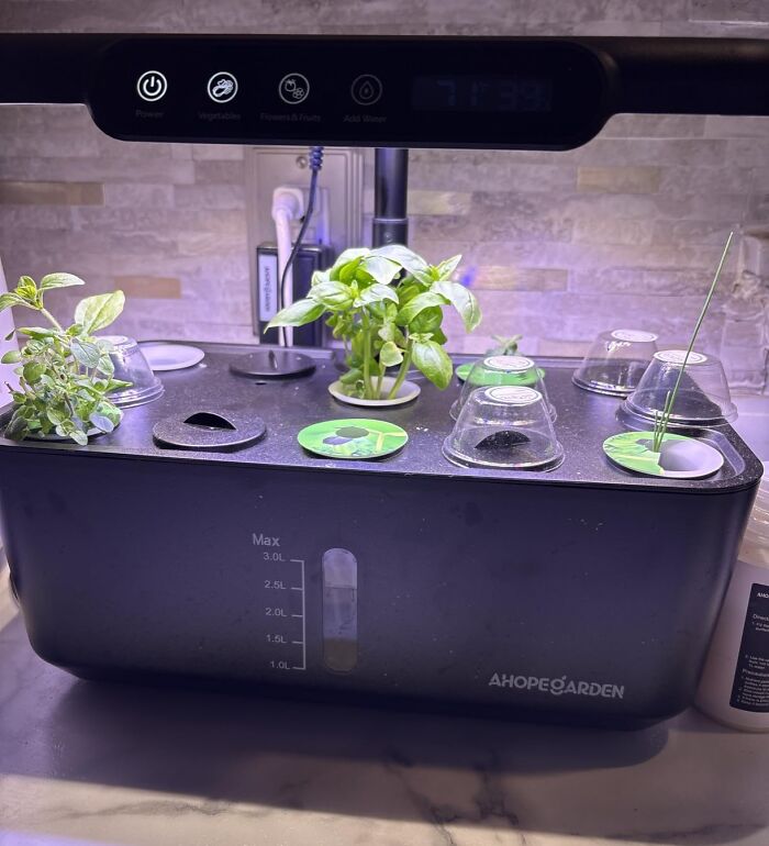 Hydroponics Growing System To Turn Mom’s Kitchen Counter Into A Herb Factory (Minus The Dirt)