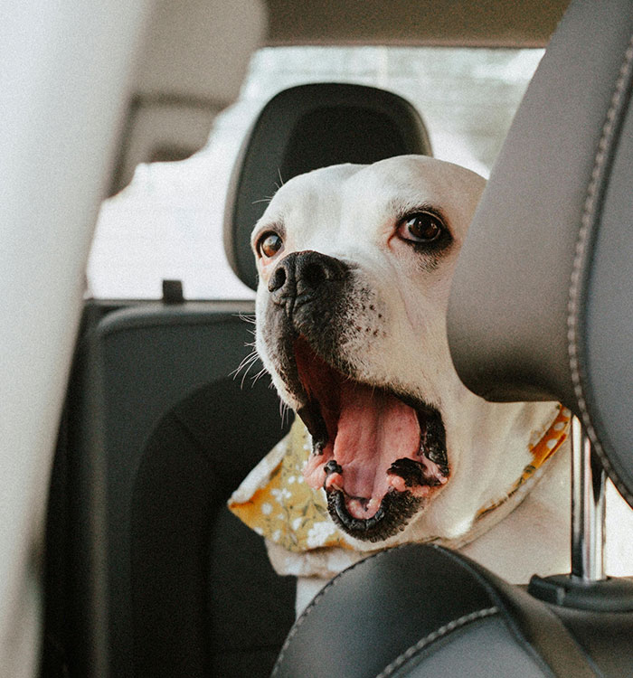 The Wildest, Wackiest Road Rage Stories That’ll Make You Glad You’re Not Driving