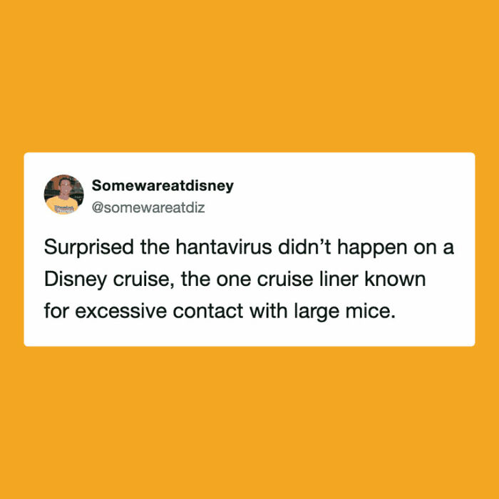 The Internet's Meme Magic on the MV Hondius Virus Drama