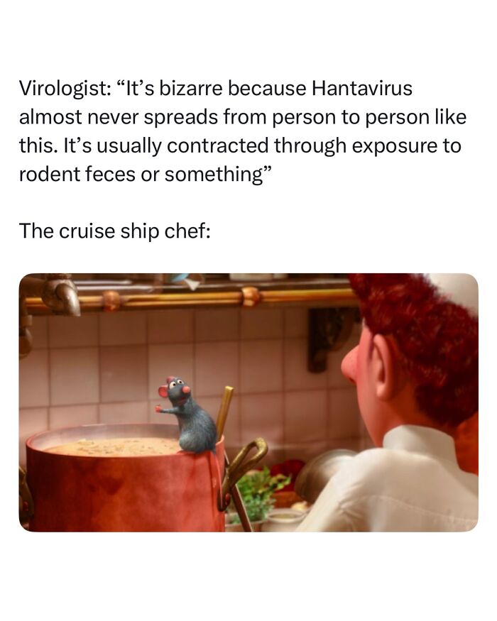 The Internet's Meme Magic on the MV Hondius Virus Drama
