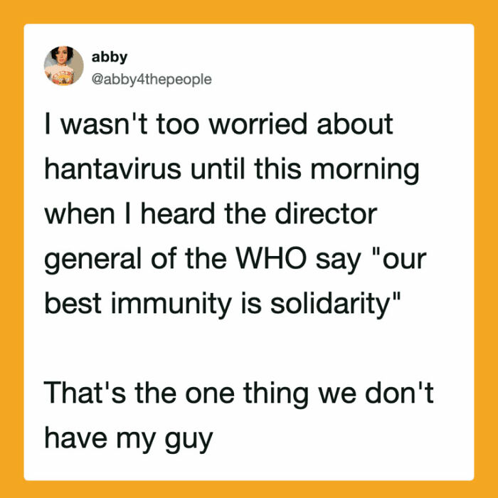 The Internet's Meme Magic on the MV Hondius Virus Drama