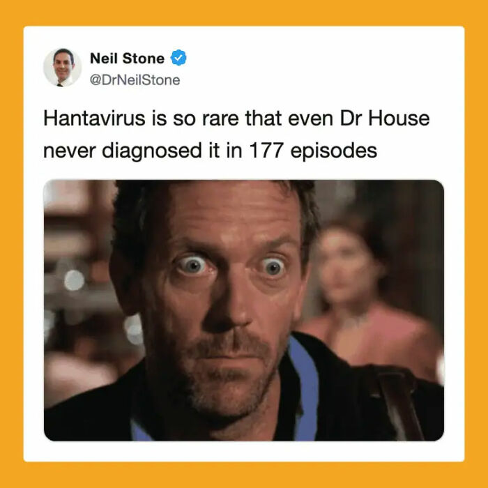 The Internet's Meme Magic on the MV Hondius Virus Drama