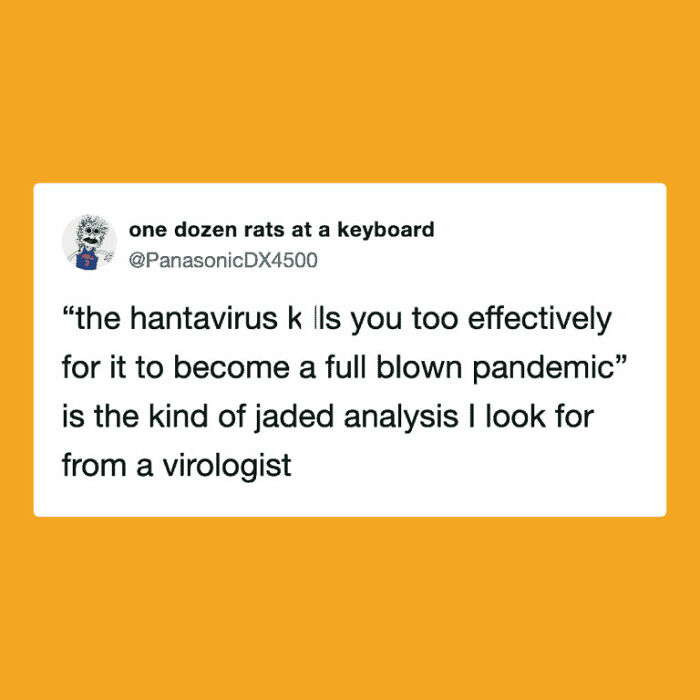 The Internet's Meme Magic on the MV Hondius Virus Drama