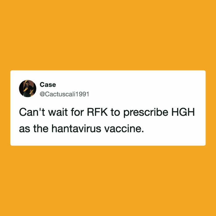 The Internet's Meme Magic on the MV Hondius Virus Drama