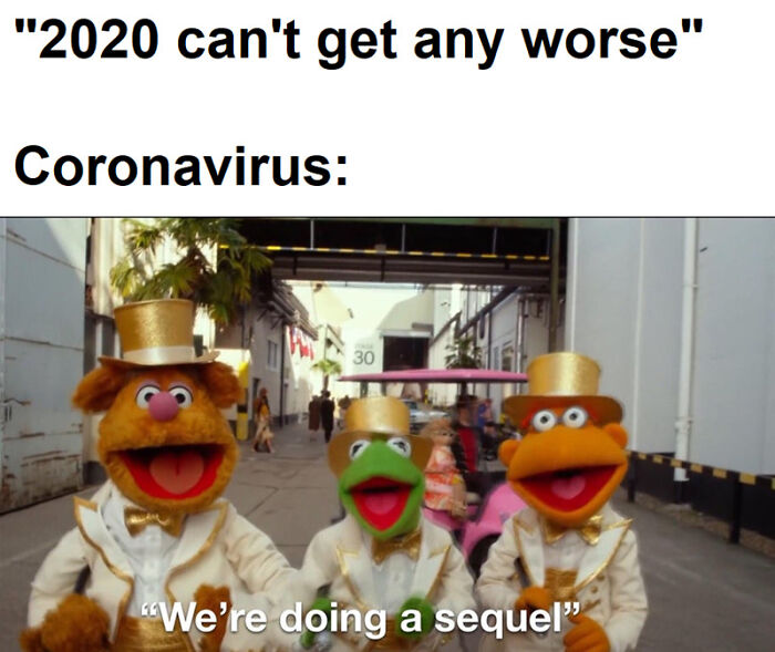 The Internet's Meme Magic on the MV Hondius Virus Drama