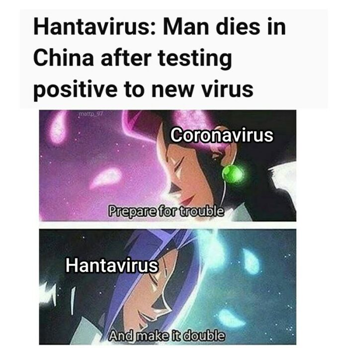 The Internet's Meme Magic on the MV Hondius Virus Drama