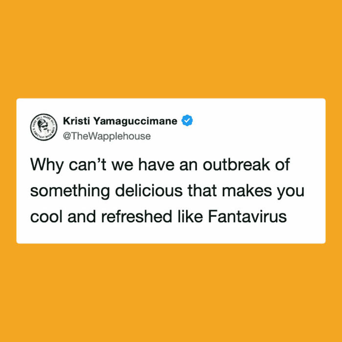 The Internet's Meme Magic on the MV Hondius Virus Drama