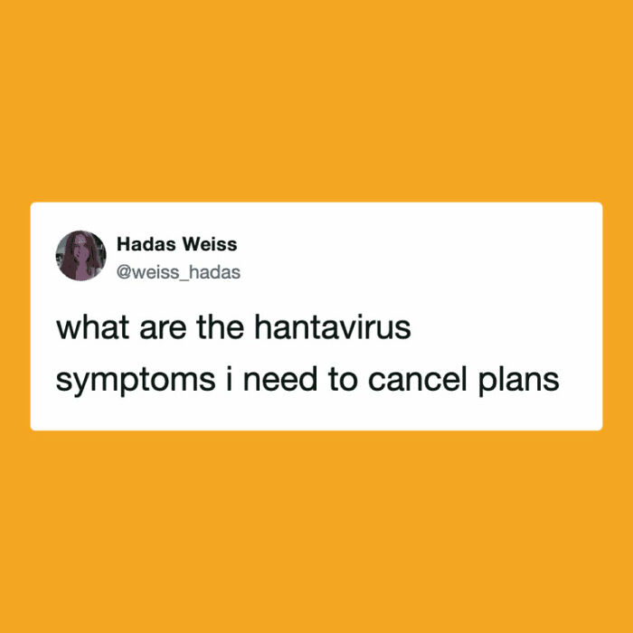 The Internet's Meme Magic on the MV Hondius Virus Drama