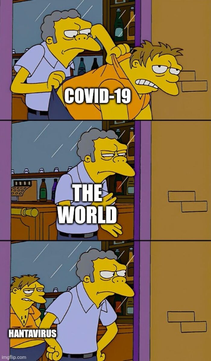 The Internet's Meme Magic on the MV Hondius Virus Drama